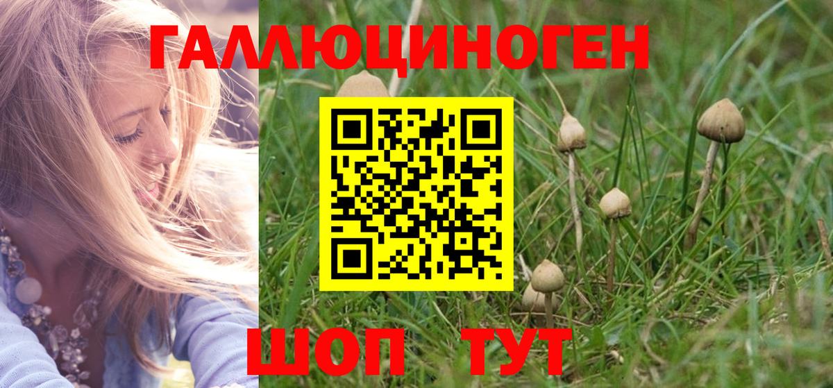 Галлюциногенные грибы прущие грибы Киров