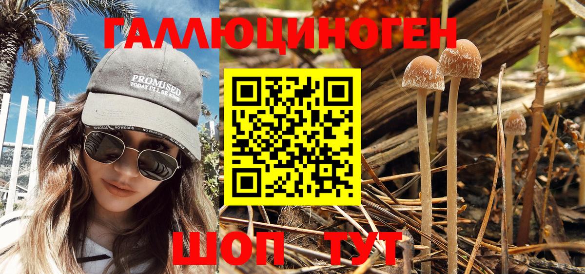 Псилоцибиновые грибы GOLDEN TEACHER  Галлюциногенные грибы Cubensis  Киров  Вход с VPN 